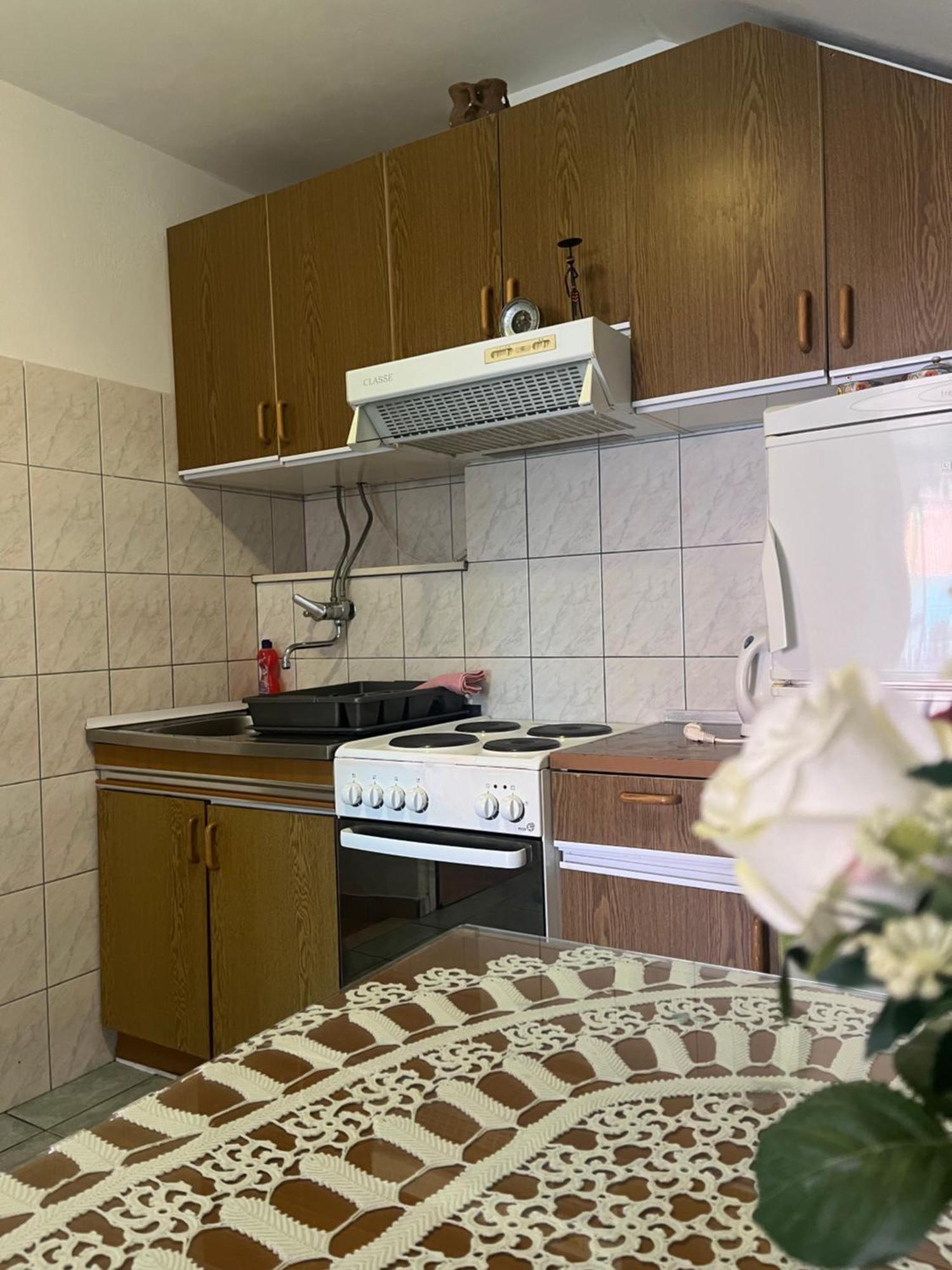 Apartman Bicanic *