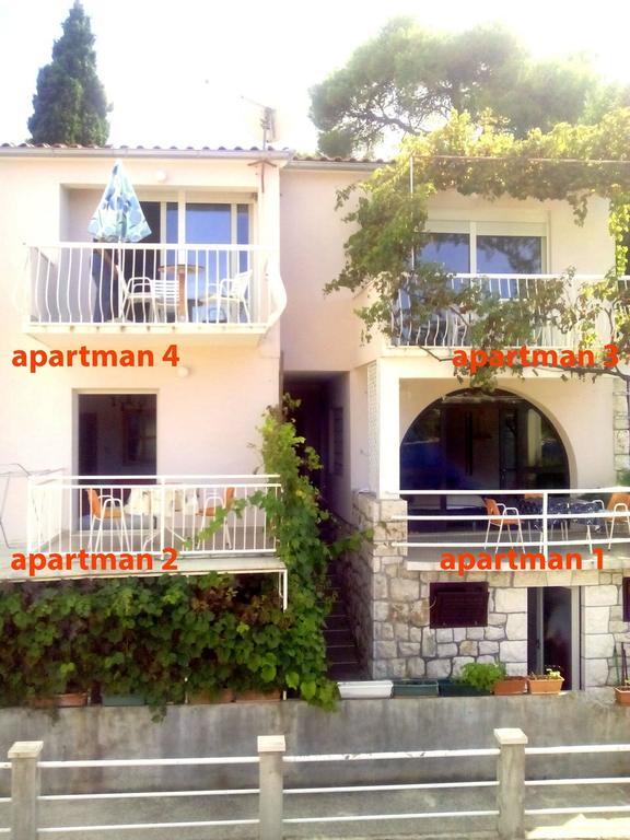 Apartman Bicanic *